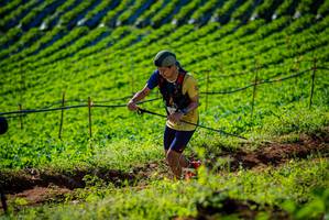 BIB: 
                            <button type="button" onclick="openModal(19160622)" class="btn btn-primary btn-sm float-right btn-popup" data-toggle="modal" data-target=".modal-high-quality">
                        <i class="fas fa-shopping-cart"></i> Add to Cart
                    </button>
                                            <button type="button" onclick="isThisMe(19160622, true)" class="btn btn-success btn-sm float-right btn-popup btn-isme hidden" data-toggle="tooltip" data-placement="bottom" title="นี่คือรูปของคุณใช่ไหม คลิกที่นี่เพื่อเอาเข้าอัลบั้ม">
                        <i class="fas fa-plus"></i> Add to album
                    </button>
                    <button type="button" onclick="isThisMe(19160622, false)" class="btn btn-warning btn-sm float-right btn-popup btn-isnotme hidden">
                        <i class="fas fa-ban"></i> Remove from album
                    </button>